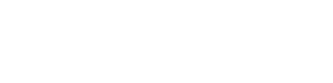 212-fbm-international-logo-white